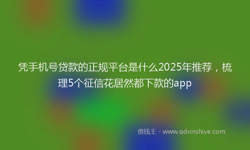 凭手机号贷款的正规平台是什么2025年推荐，梳理5个征信花居然都下款的app