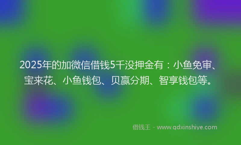 2025年的加微信借钱5千没押金有：小鱼免审、宝来花、小鱼钱包、贝赢分期、智享钱包等。