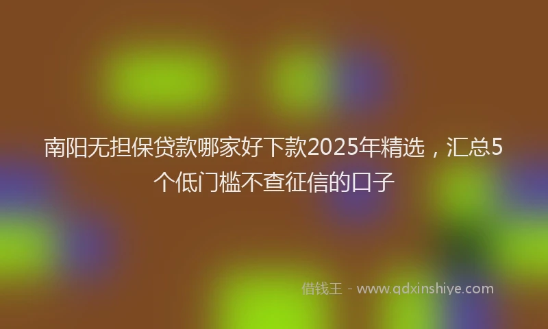 南阳无担保贷款哪家好下款2025年精选，汇总5个低门槛不查征信的口子