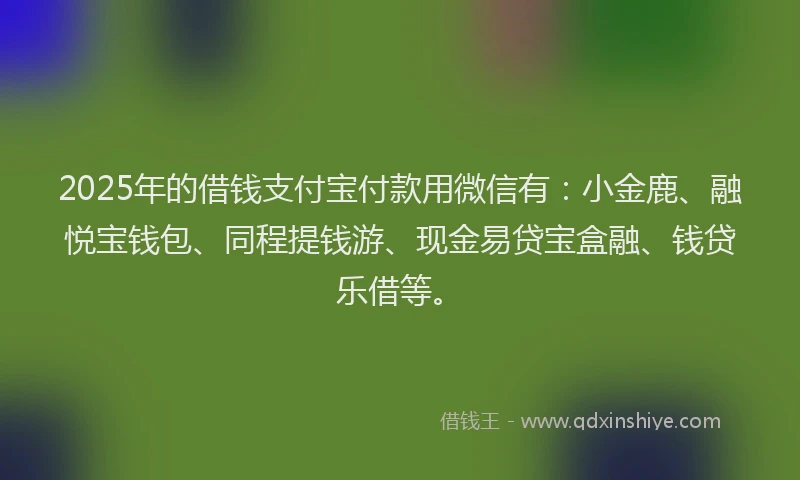 2025年的借钱支付宝付款用微信有：小金鹿、融悦宝钱包、同程提钱游、现金易贷宝盒融、钱贷乐借等。