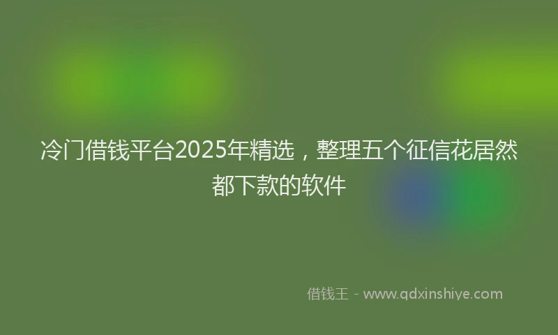冷门借钱平台2025年精选，整理五个征信花居然都下款的软件