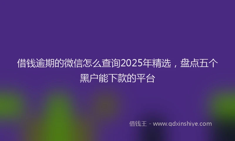 借钱逾期的微信怎么查询2025年精选，盘点五个黑户能下款的平台