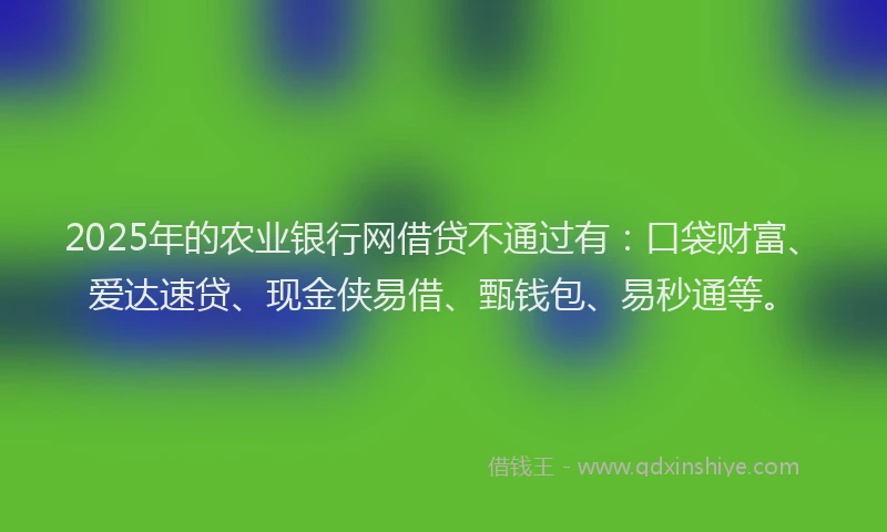 2025年的农业银行网借贷不通过有：口袋财富、爱达速贷、现金侠易借、甄钱包、易秒通等。