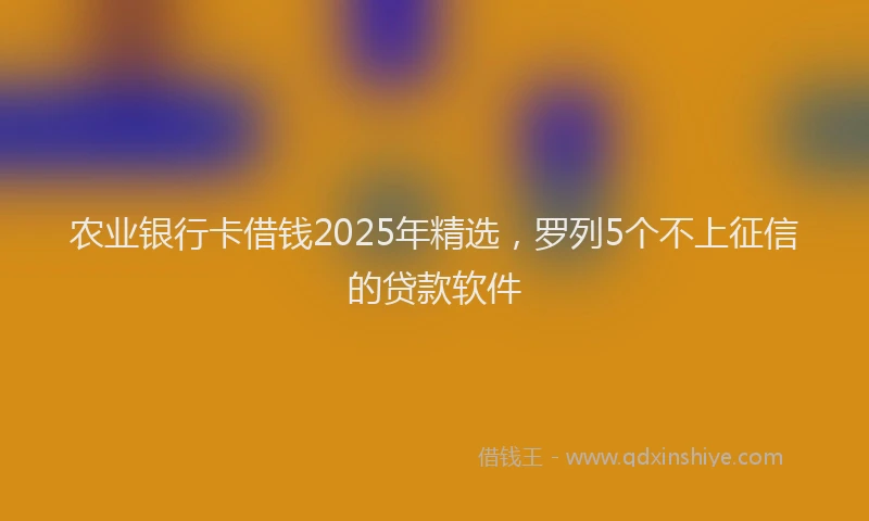 农业银行卡借钱2025年精选，罗列5个不上征信的贷款软件