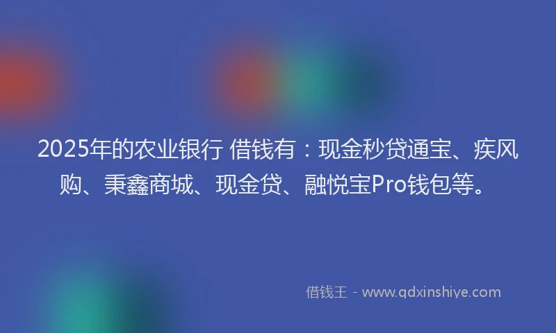 2025年的农业银行 借钱有：现金秒贷通宝、疾风购、秉鑫商城、现金贷、融悦宝Pro钱包等。