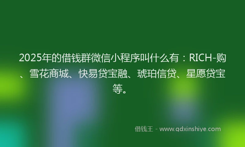 2025年的借钱群微信小程序叫什么有：RICH-购、雪花商城、快易贷宝融、琥珀信贷、星愿贷宝等。