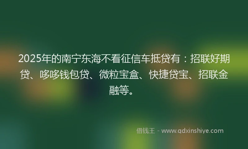2025年的南宁东海不看征信车抵贷有：招联好期贷、哆哆钱包贷、微粒宝盒、快捷贷宝、招联金融等。