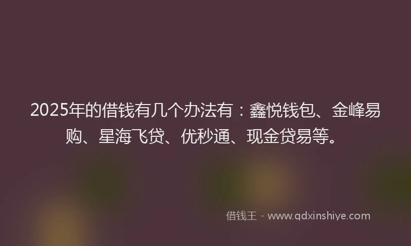 2025年的借钱有几个办法有：鑫悦钱包、金峰易购、星海飞贷、优秒通、现金贷易等。