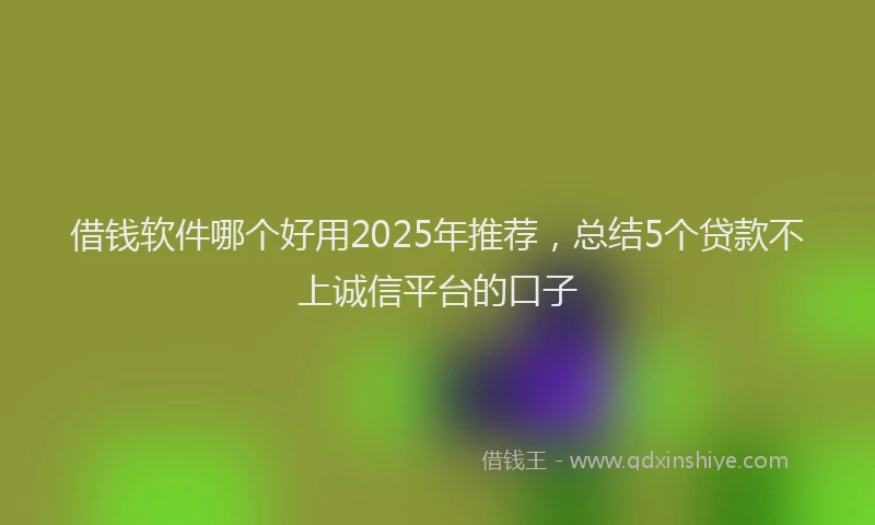 借钱软件哪个好用2025年推荐，总结5个贷款不上诚信平台的口子