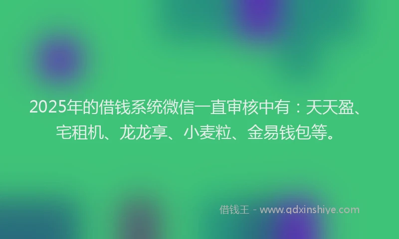 2025年的借钱系统微信一直审核中有：天天盈、宅租机、龙龙享、小麦粒、金易钱包等。