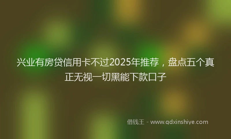 兴业有房贷信用卡不过2025年推荐，盘点五个真正无视一切黑能下款口子
