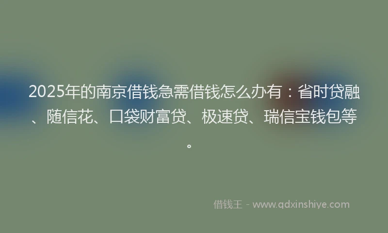2025年的南京借钱急需借钱怎么办有：省时贷融、随信花、口袋财富贷、极速贷、瑞信宝钱包等。