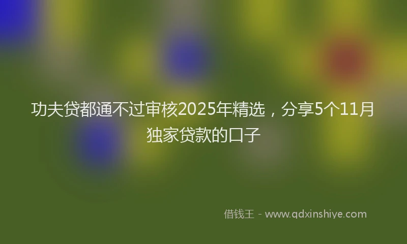 功夫贷都通不过审核2025年精选，分享5个11月独家贷款的口子