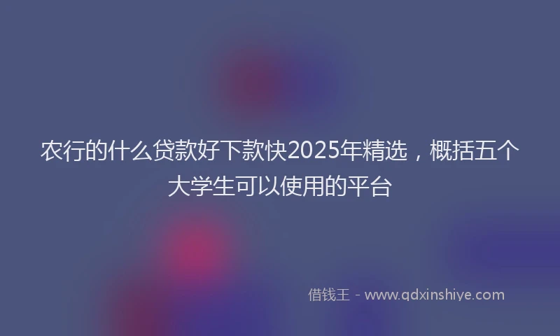 农行的什么贷款好下款快2025年精选，概括五个大学生可以使用的平台