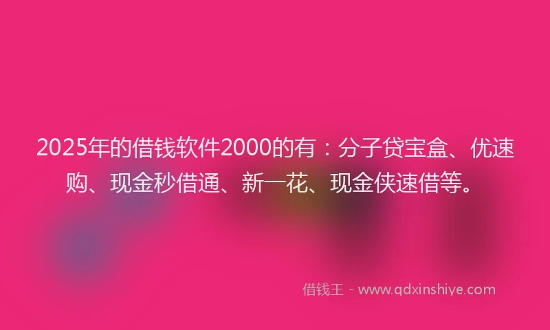 2025年的借钱软件2000的有：分子贷宝盒、优速购、现金秒借通、新一花、现金侠速借等。