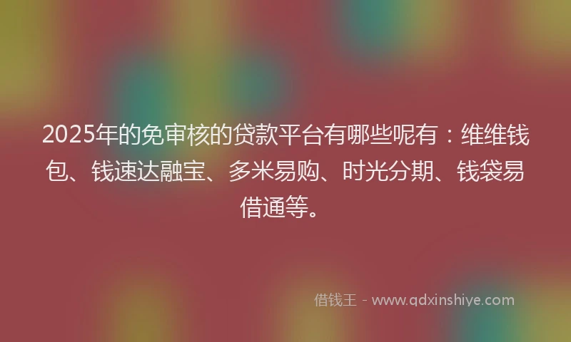 2025年的免审核的贷款平台有哪些呢有：维维钱包、钱速达融宝、多米易购、时光分期、钱袋易借通等。