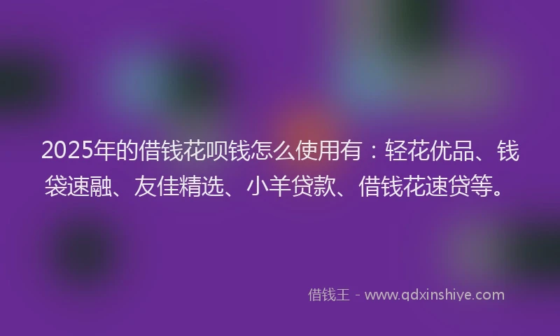 2025年的借钱花呗钱怎么使用有：轻花优品、钱袋速融、友佳精选、小羊贷款、借钱花速贷等。