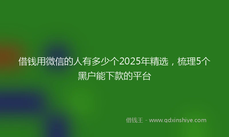 借钱用微信的人有多少个2025年精选，梳理5个黑户能下款的平台
