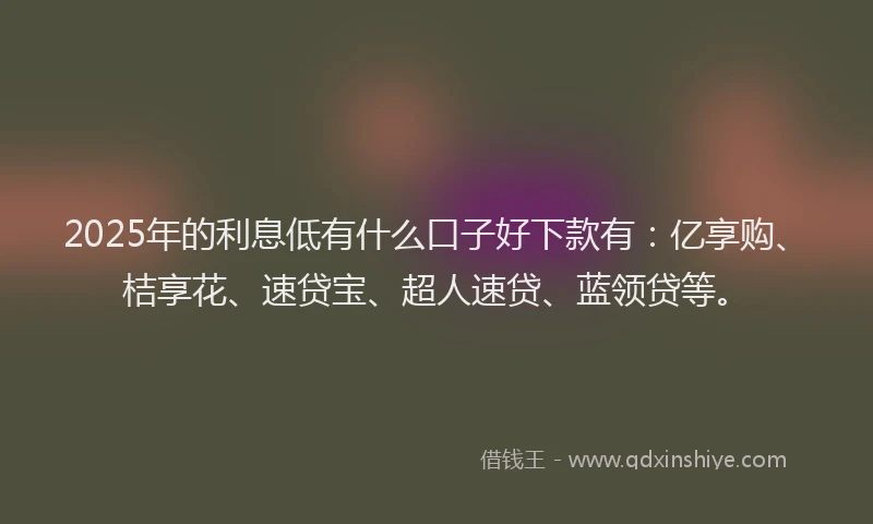 2025年的利息低有什么口子好下款有：亿享购、桔享花、速贷宝、超人速贷、蓝领贷等。