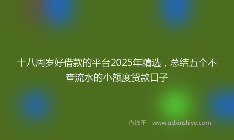 十八周岁好借款的平台2025年精选，总结五个不查流水的小额度贷款口子