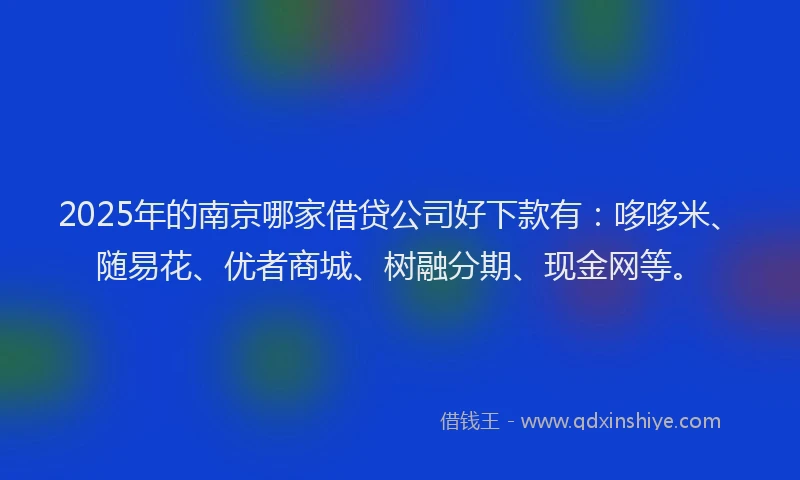 2025年的南京哪家借贷公司好下款有：哆哆米、随易花、优者商城、树融分期、现金网等。