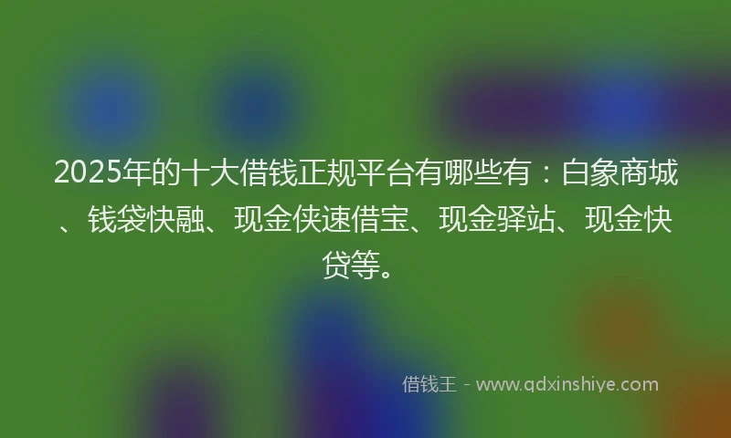 2025年的十大借钱正规平台有哪些有：白象商城、钱袋快融、现金侠速借宝、现金驿站、现金快贷等。