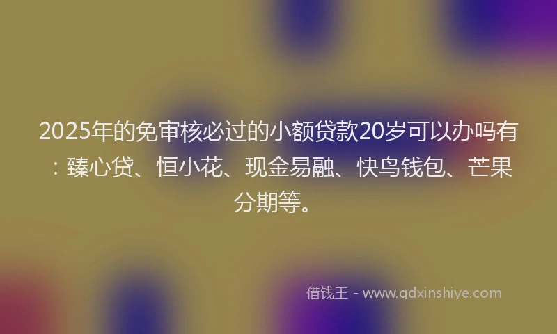 2025年的免审核必过的小额贷款20岁可以办吗有：臻心贷、恒小花、现金易融、快鸟钱包、芒果分期等。