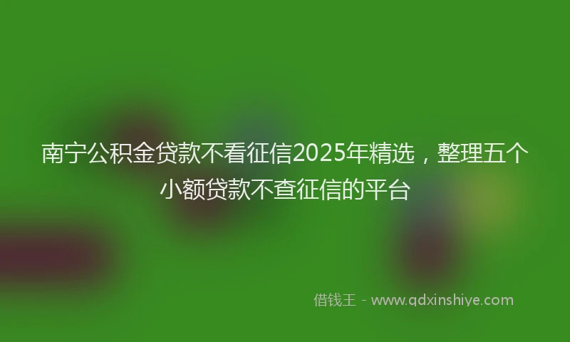 南宁公积金贷款不看征信2025年精选，整理五个小额贷款不查征信的平台