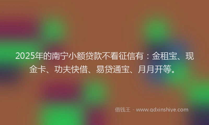 2025年的南宁小额贷款不看征信有：金租宝、现金卡、功夫快借、易贷通宝、月月开等。