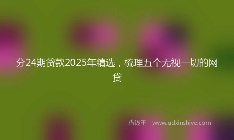 分24期贷款2025年精选，梳理五个无视一切的网贷