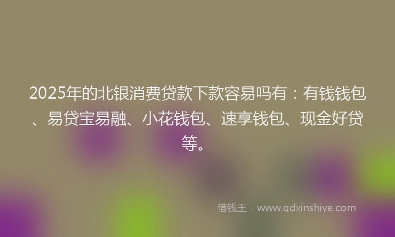2025年的北银消费贷款下款容易吗有：有钱钱包、易贷宝易融、小花钱包、速享钱包、现金好贷等。