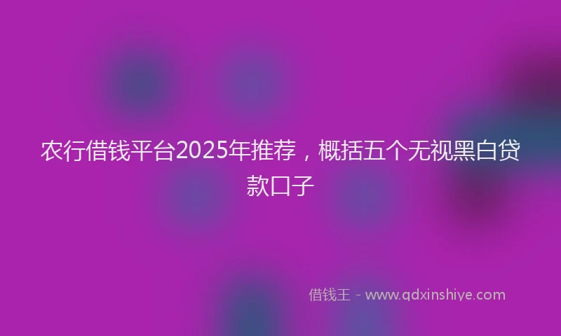 农行借钱平台2025年推荐，概括五个无视黑白贷款口子