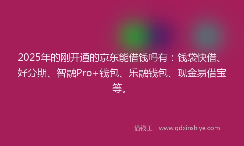2025年的刚开通的京东能借钱吗有：钱袋快借、好分期、智融Pro+钱包、乐融钱包、现金易借宝等。