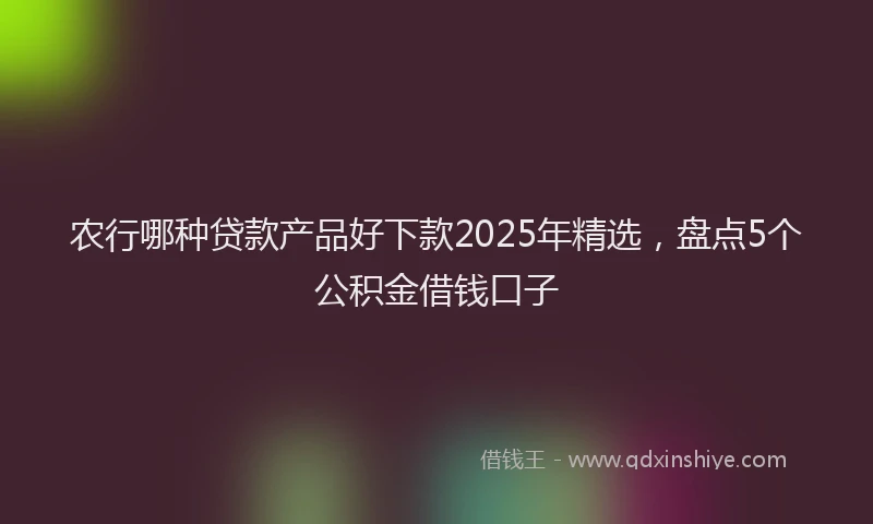 农行哪种贷款产品好下款2025年精选，盘点5个公积金借钱口子