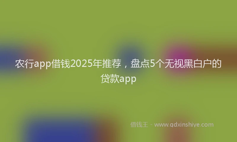 农行app借钱2025年推荐，盘点5个无视黑白户的贷款app