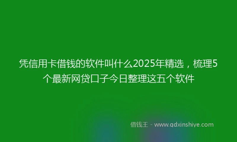 凭信用卡借钱的软件叫什么2025年精选，梳理5个最新网贷口子今日整理这五个软件