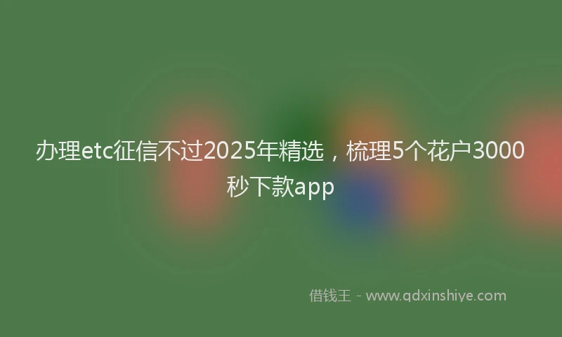 办理etc征信不过2025年精选,梳理5个花户3000秒下款app