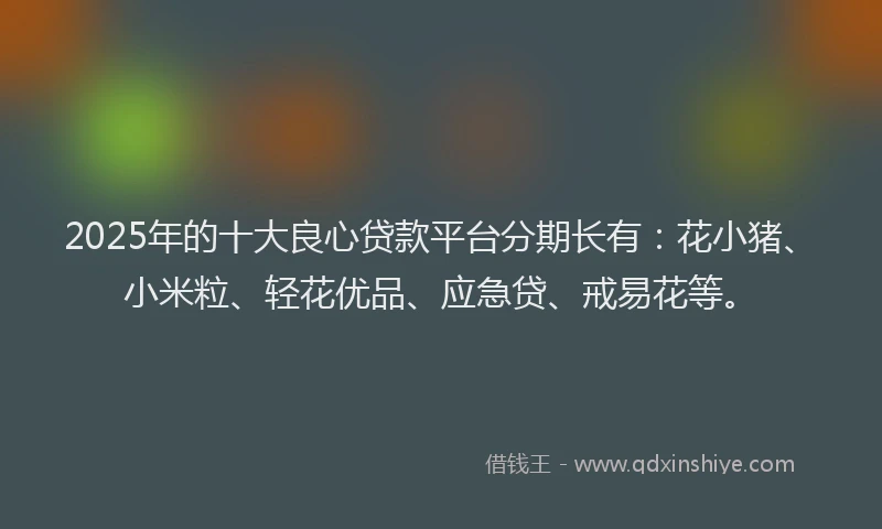 2025年的十大良心贷款平台分期长有：花小猪、小米粒、轻花优品、应急贷、戒易花等。