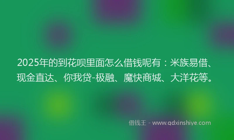 2025年的到花呗里面怎么借钱呢有：米族易借、现金直达、你我贷-极融、魔快商城、大洋花等。
