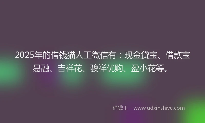 2025年的借钱猫人工微信有：现金贷宝、借款宝易融、吉祥花、骏祥优购、盈小花等。