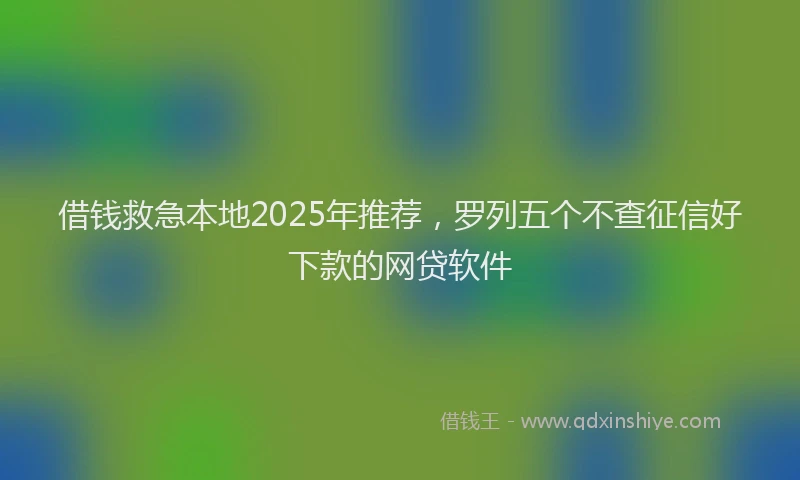借钱救急本地2025年推荐，罗列五个不查征信好下款的网贷软件