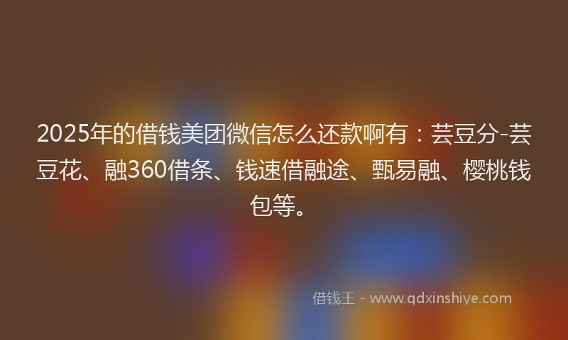 2025年的借钱美团微信怎么还款啊有：芸豆分-芸豆花、融360借条、钱速借融途、甄易融、樱桃钱包等。