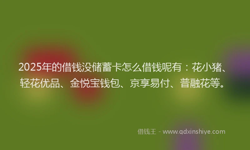 2025年的借钱没储蓄卡怎么借钱呢有：花小猪、轻花优品、金悦宝钱包、京享易付、普融花等。