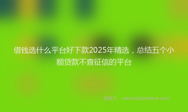 借钱选什么平台好下款2025年精选，总结五个小额贷款不查征信的平台