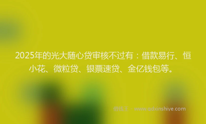 2025年的光大随心贷审核不过有：借款易行、恒小花、微粒贷、银票速贷、金亿钱包等。