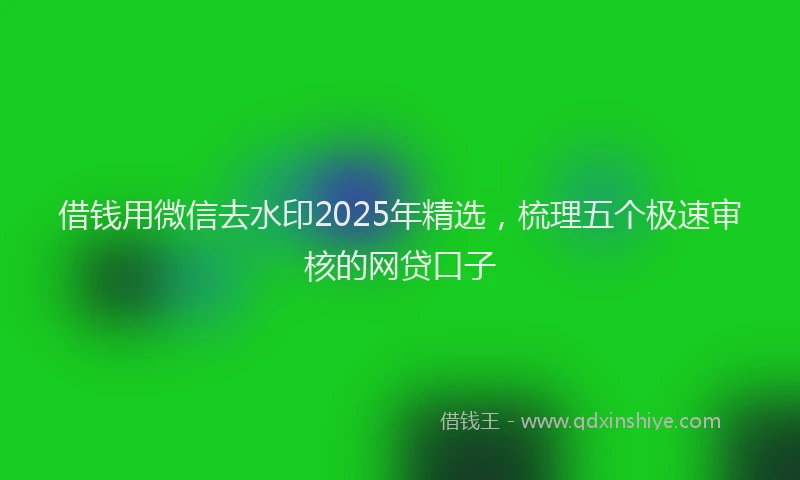 借钱用微信去水印2025年精选，梳理五个极速审核的网贷口子