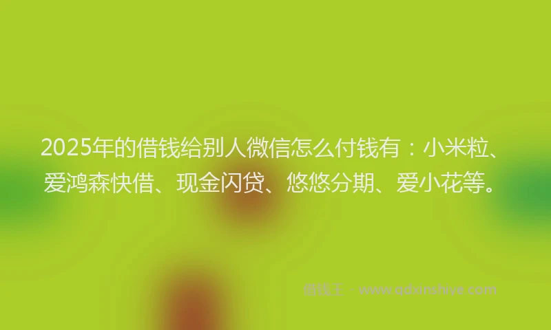 2025年的借钱给别人微信怎么付钱有：小米粒、爱鸿森快借、现金闪贷、悠悠分期、爱小花等。