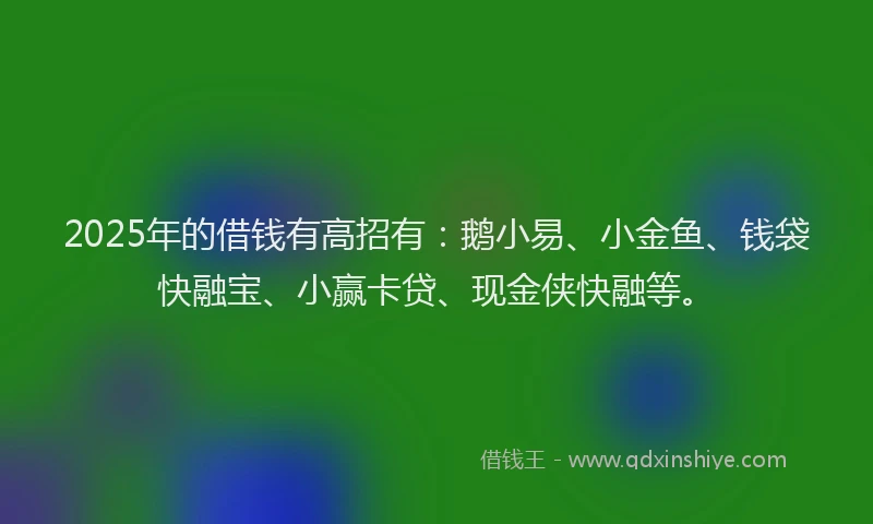 2025年的借钱有高招有：鹅小易、小金鱼、钱袋快融宝、小赢卡贷、现金侠快融等。