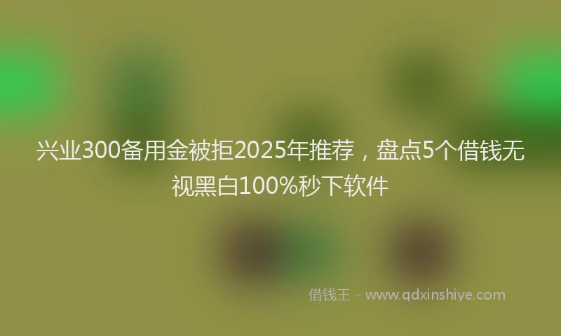 兴业300备用金被拒2025年推荐，盘点5个借钱无视黑白100%秒下软件