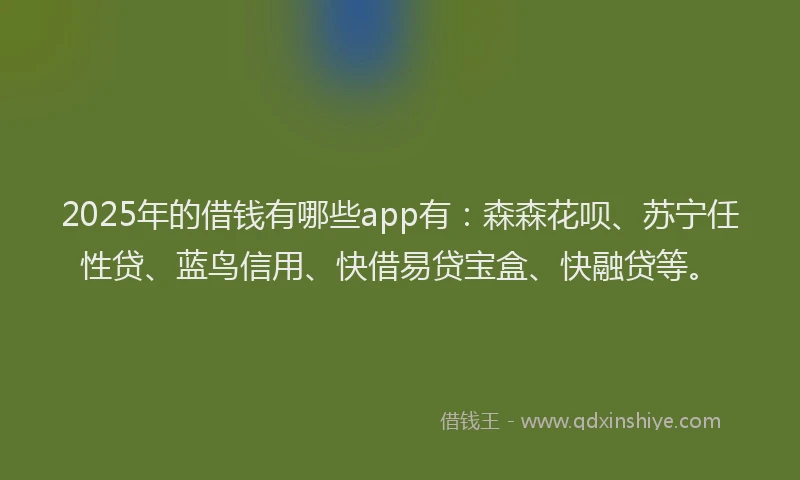 2025年的借钱有哪些app有：森森花呗、苏宁任性贷、蓝鸟信用、快借易贷宝盒、快融贷等。